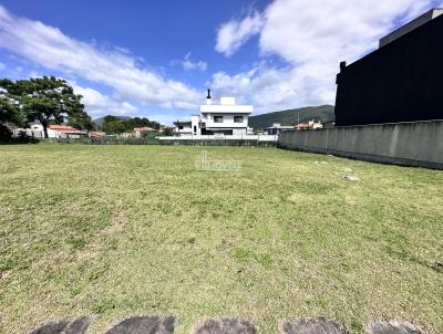 Terreno para Venda, em Florianópolis, bairro São João do Rio Vermelho