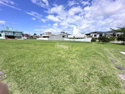 Terreno para Venda, em Florianópolis, bairro São João do Rio Vermelho