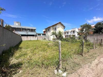 Terreno para Venda, em Florianpolis, bairro So Joo do Rio Vermelho