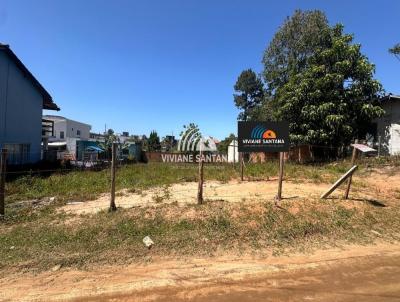 Terreno para Venda, em Florian�polis, bairro S�o Jo�o do Rio Vermelho