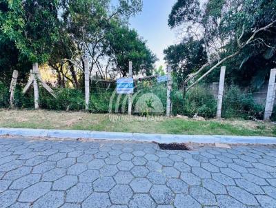 Terreno para Venda, em Florian�polis, bairro S�o Jo�o do Rio Vermelho