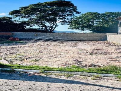 Terreno para Venda, em Florian�polis, bairro S�o Jo�o do Rio Vermelho