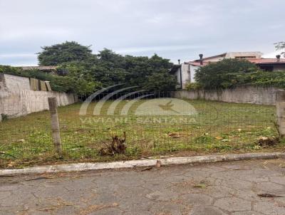 imagem-miniatura