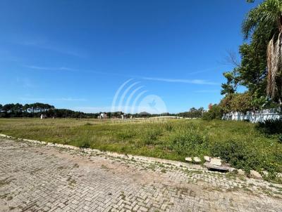 Terreno para Venda, em Florian�polis, bairro S�o Jo�o do Rio Vermelho
