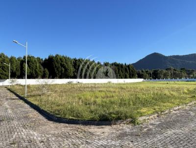 Terreno para Venda, em Florian�polis, bairro S�o Jo�o do Rio Vermelho