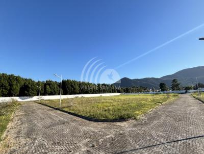 imagem-miniatura