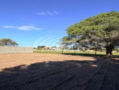 Terreno para Venda, em , bairro S�o Jo�o do Rio Vermelho