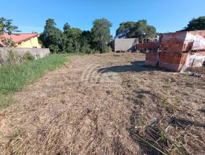 Terreno para Venda, em Florian�polis, bairro S�o Jo�o do Rio Vermelho